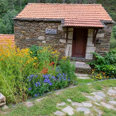 Quinta Da Rabacosa - Bauernhof