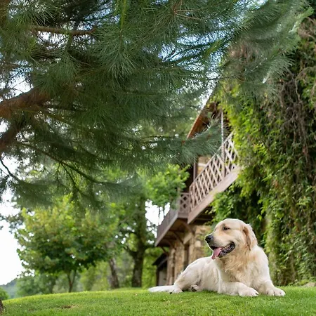 Quinta Da Rabacosa - * Castro Daire