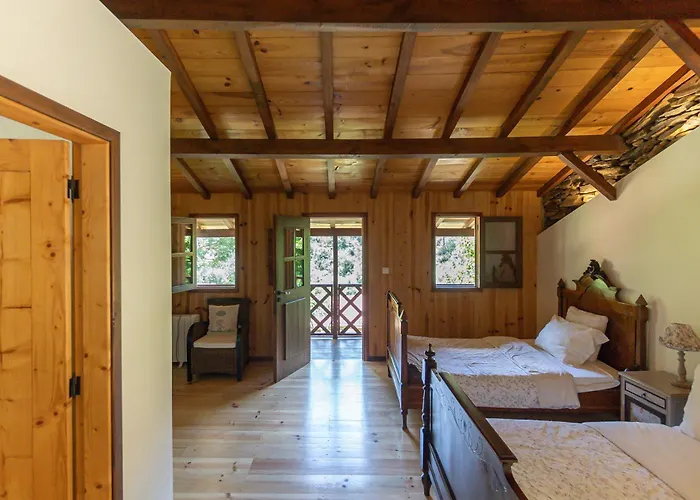 Alojamento de Turismo Rural Quinta Da Rabaçosa - Castro Daire