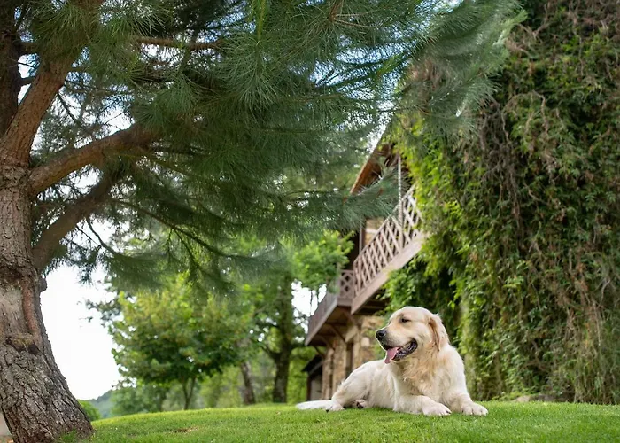 Quinta Da Rabaçosa - * Castro Daire